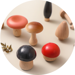 Wooden Mushroom Toy Pack